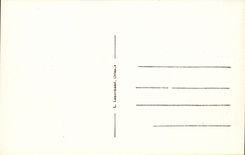 Orleans - Festivals of Jeanne d' Arc - Procession of the Flag of the dissolved Regiment - CPA