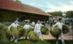 Agriculture - With the Farm - Straw - CPA (horses horse)