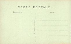 Chenonceaux - Le Chateau - cote sud est - CPA 