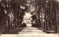 Chenonceaux - Le Chateau - L'Avenue - CPA 