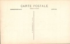 Chenonceaux - Les Jardins et le Cher CPA 