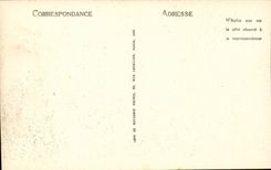 Loaches - Collegial Saint the Bear - CPA