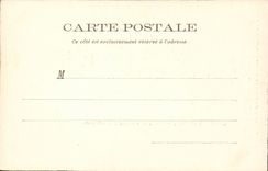 Jumping Saumur CPA in freedom Under Masters (horse hippism)