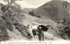 Mount Gilds - Way of Muleteer of Puy de Sancy - ass - donkey - CPA