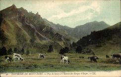 CPA Environs of the Mount Gilds Puy de Sancy and Entering throats of hell (cows)