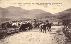 CPA thermal Route of Auvergne of the Mount Gilds has Saint Nectary Landscape with the hamlet of Bressouleille Vaches