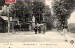 Paris 12 - Parc Saint Maur - Avenue du Grand Chene - Velo - chien - do CPA 