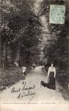 Paris - 12 - Les Site Pittoresque dans le Bois de Vincennes - Allee du Bois - Chien - dog CPA 