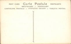 Paris - 1 - Musee du Louvre - Statue de Charles V - CPA 