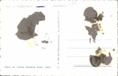 Capital Marenne oyster CPA of the oyster (ostreiculture)