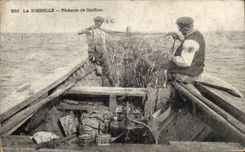 Sinning La Rochelle CPA der Sardinen