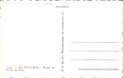 Island of oleron CPA Road out of drill of pines