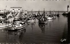 Island of Oleron - Cotiniere - the Port - CPA