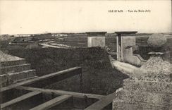 Island Of Aix - Sight of Jolly Wood - CPA