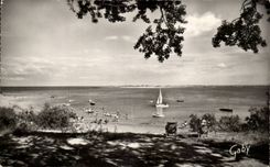 CPA Ile de Re the Plage doors of Case Lines