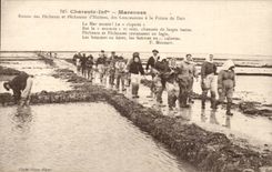 CPA Marenne oysters Return of the oyster sinners and sinning of the concessions to the point of DAir TOP