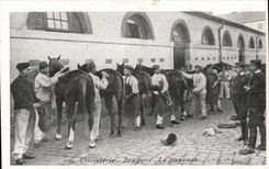 CPA Militaria Cavalry Dragons grooming (horses horse)