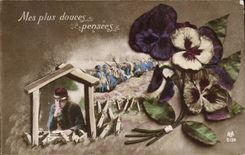 CPA Militaria My softer thoughts