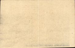 CPA Militaria Ravelled of the victory July 14th 1919 the flag of the 3rd zouaves (Constantine Algeria)