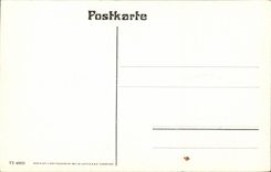 Strasbourg CPA Storchennest Nest of storks