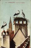 CPA Strasbourg Nest of storks