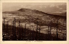 Linen CPA Overall picture