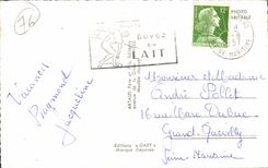 Small Flagstones - Souvenir - CPA