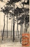 Le Moulleau - Les Pins - CPA 