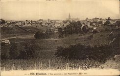 Saint Amilion CPA View vineyards