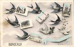 Bordeaux CPA Swallows