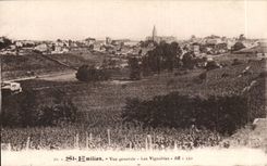 Saint Emilion CPA View vineyards