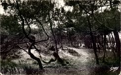 MODERN CARD Soulac on sea the drill