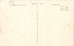 Bormes Mimosas CPA View