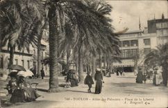 Toulon CPA Allee of the palm trees Places freedom