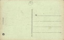 Toulon CPA palm trees of Mourillon