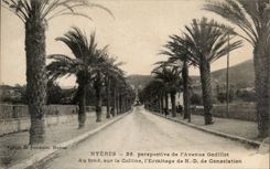 Hyeres CPA Ansicht uber die Godillot Allee an der Unterseite auf dem Hugel die Nd-Einsiedlerei des Trostes