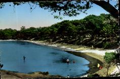 Island of Porquerolles CPA the money beach