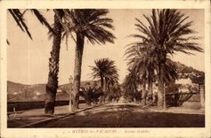 Hyeres Palmen CPA die Godillot auftraten