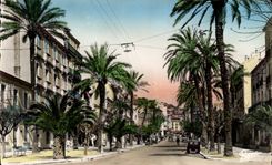 Hyeres die Palmen MODERNE KARTE die Gambetta auftrat