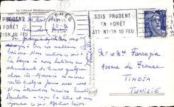 Hyeres die Palmen MODERNE KARTE die Gambetta auftrat