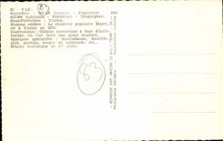 CPM Department du Var