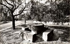 Bormes the Mimosas MODERN CARD Old counts of stone