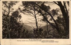 Ile de Port CRos CPA