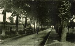 Bethune - Allee of the Chestnut trees - Chesnut Trees - CPA