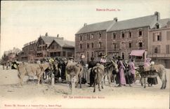Berck Beach - Return of the Asses - Donkey - CPA