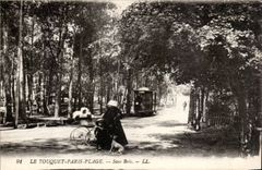 Touquet Paris Beach - Under Wood - bicycle - dog - dog - CPA