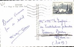 Gray Nose - Beach and Cape CPA