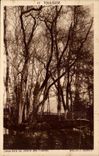 Toulouse - Sous bois au Jardin des Plantes - CPA 