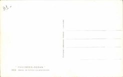 Pepas de Patres in Mountains - CPA