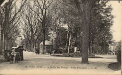 Toulouse - Le Jardin des Plantes - Allee Principale - CPA 